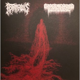 Astriferous / Bloodsoaked necrovoid - Split 7"
